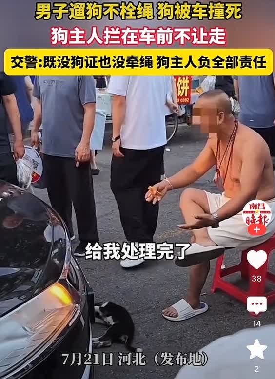 没见过如此嚣张的，上新闻的狗主人就是这么横[捂脸哭]前面一年轻夫妻刚横着说“狗咬你