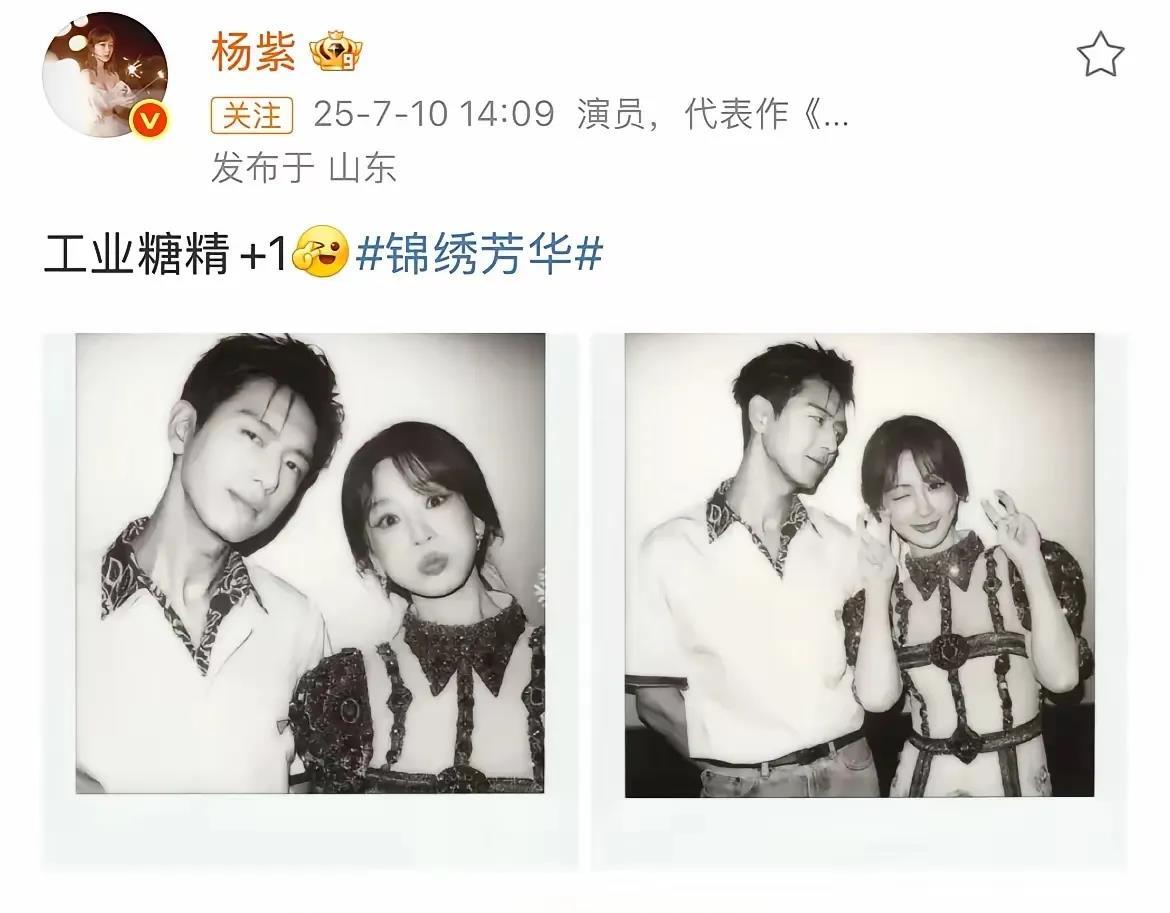 杨紫一句“工业糖精”，直接戳穿了剧粉的粉色泡泡，气的粉丝恨铁不成钢。最近