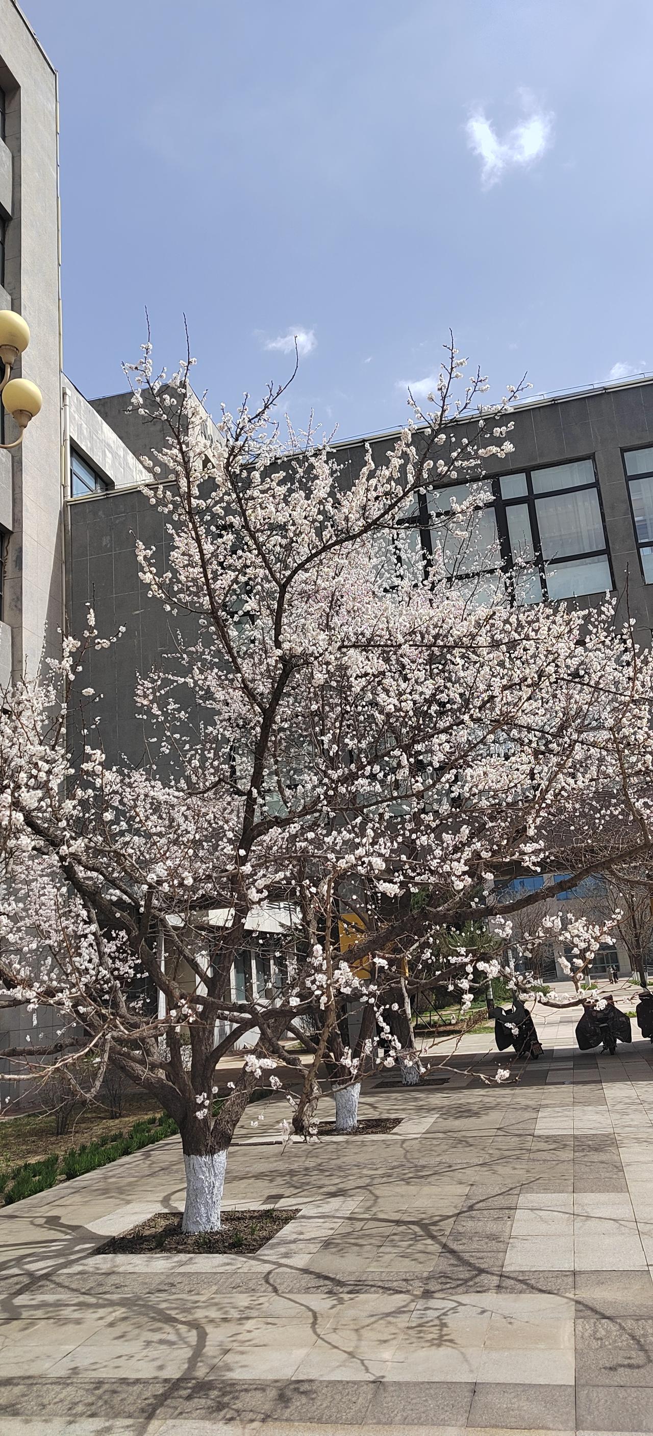 今天妻子史珍香，也不知道什么原因，心情不好了。因为她在吃饭时，突然停下筷子说：宋