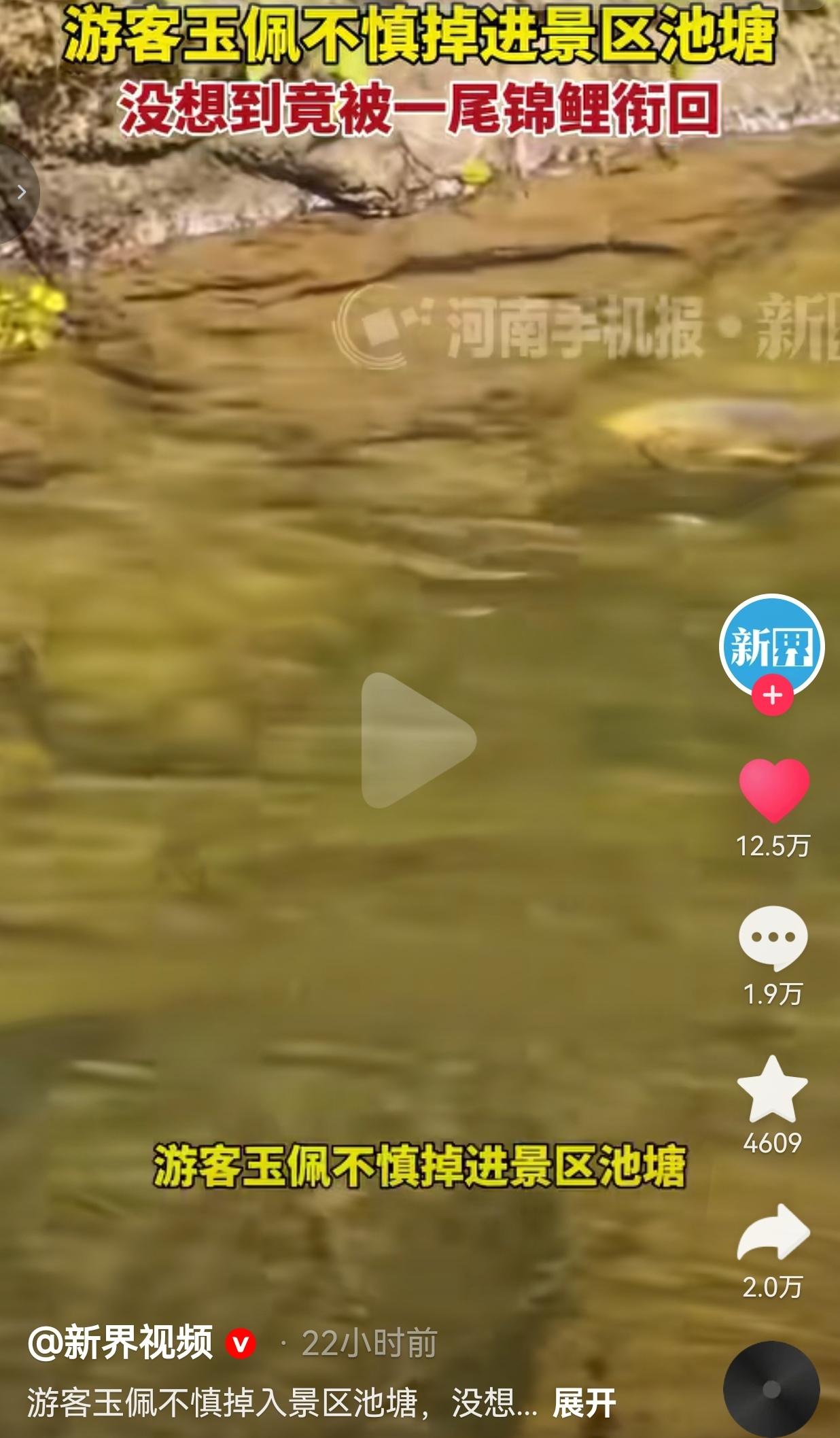 太神奇了！浙江一处景区，网传有位游客在池塘边游玩的时候，手上佩戴的玉佩没拿稳，“