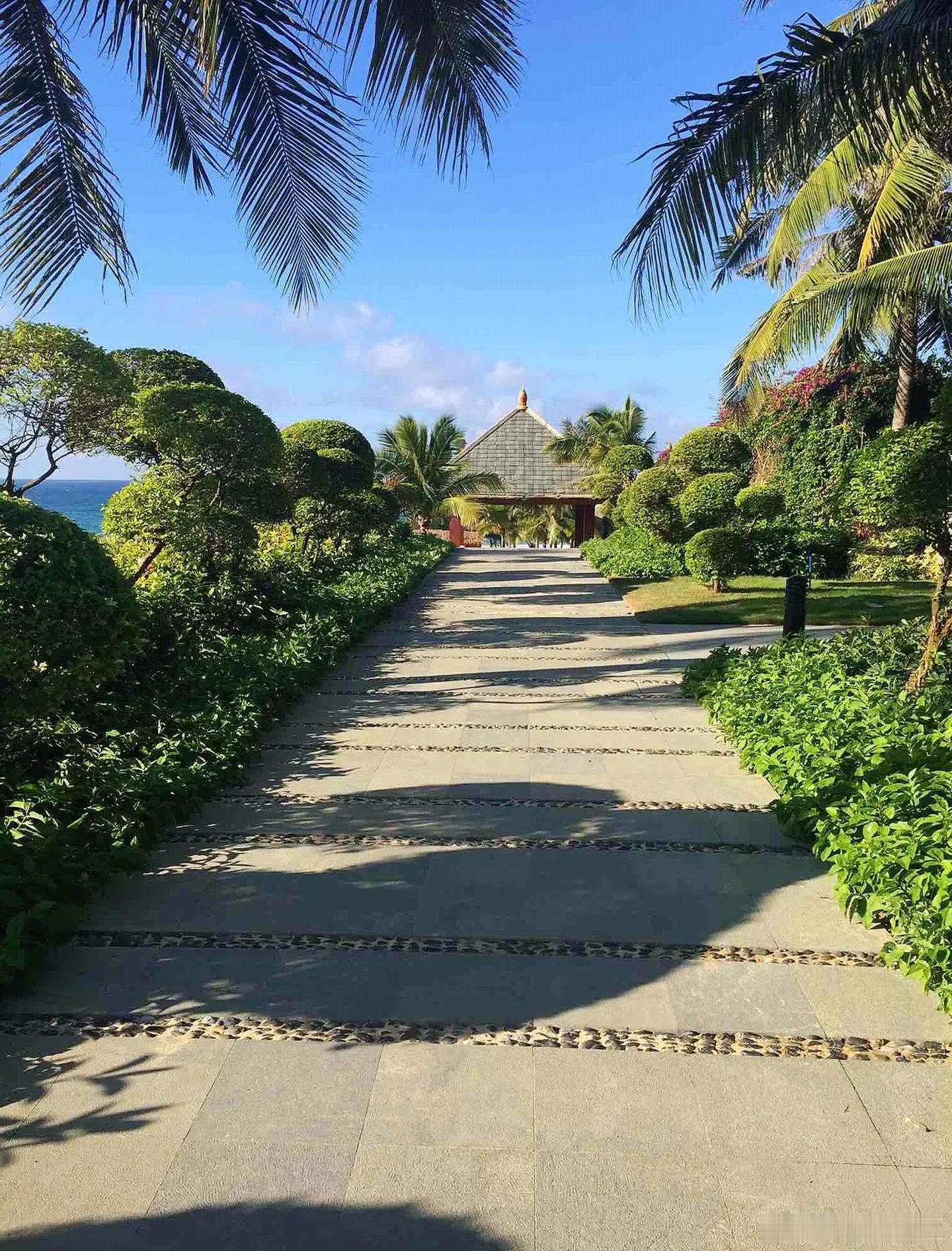 盛夏追光之旅微博旅行ing海南陵水，坐落在北纬18度黄金纬度带，和夏威夷、巴厘岛