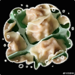 田嘉瑞为了吃醋买了盘饺子田嘉瑞吃醋买了盘饺子为了吃醋买了盘饺子🥟