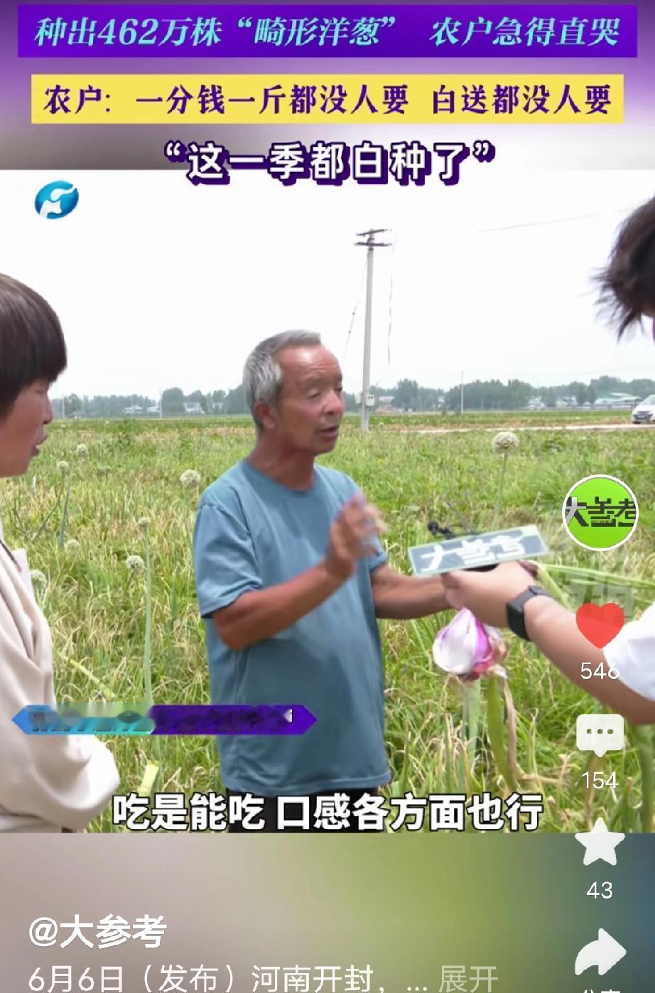 河南开封，一农户蹲在地里急得直哭，他的洋葱一分钱一斤都没人要，就算白送人家也不要