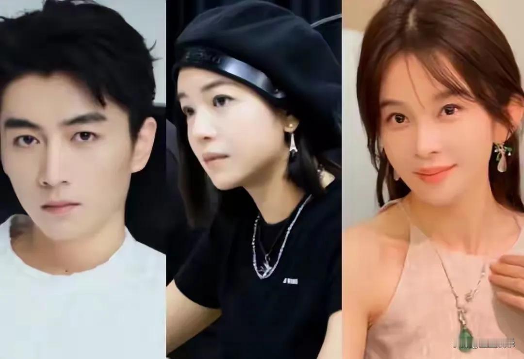 赵樱子自曝怀孕三个月，还高调向陈晓示爱，这般举动可谓大胆至极，完全没给自己留退路