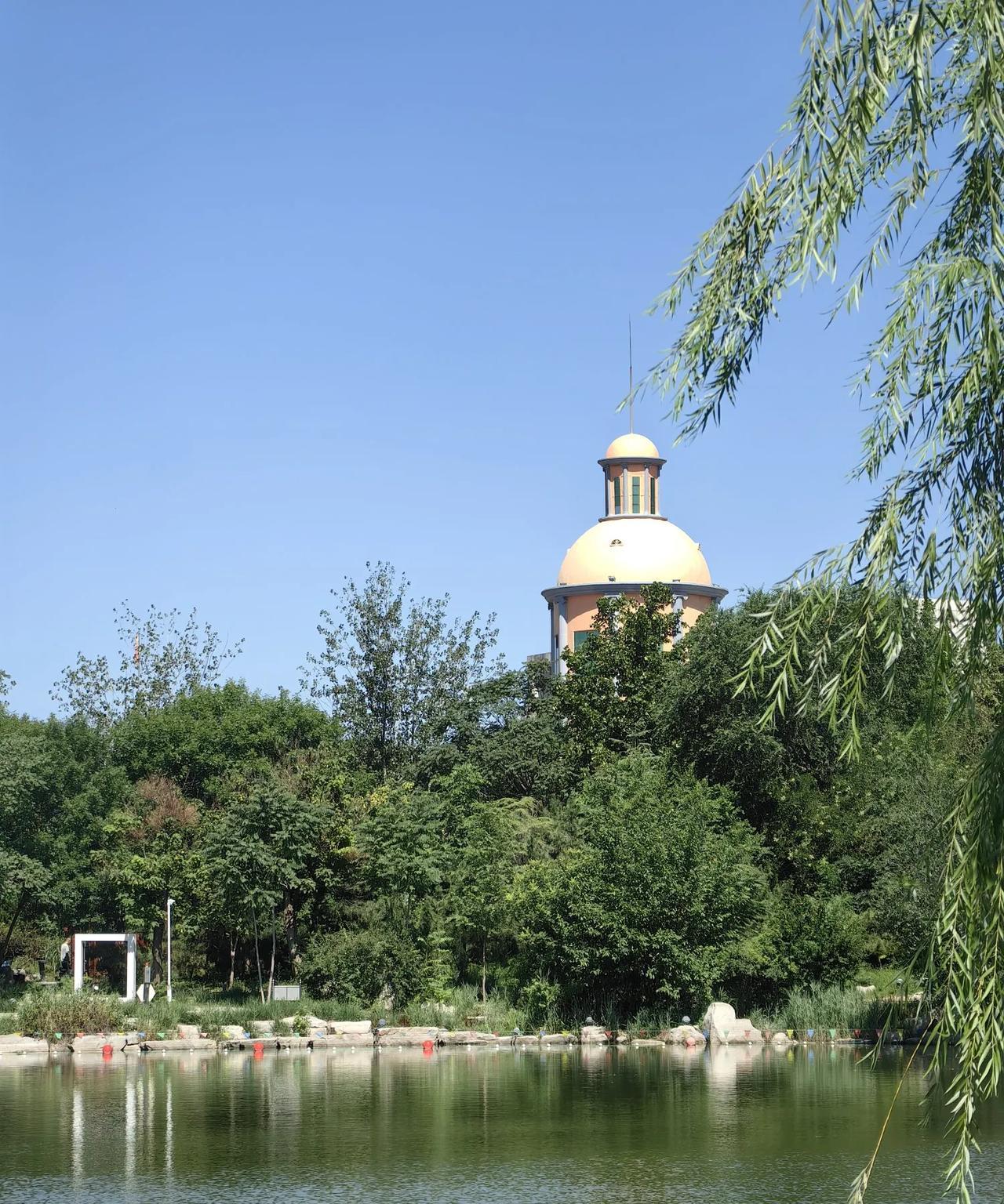#分享手机里随手拍的风景照片#今天的长虹公园风和日丽，景色怡人，