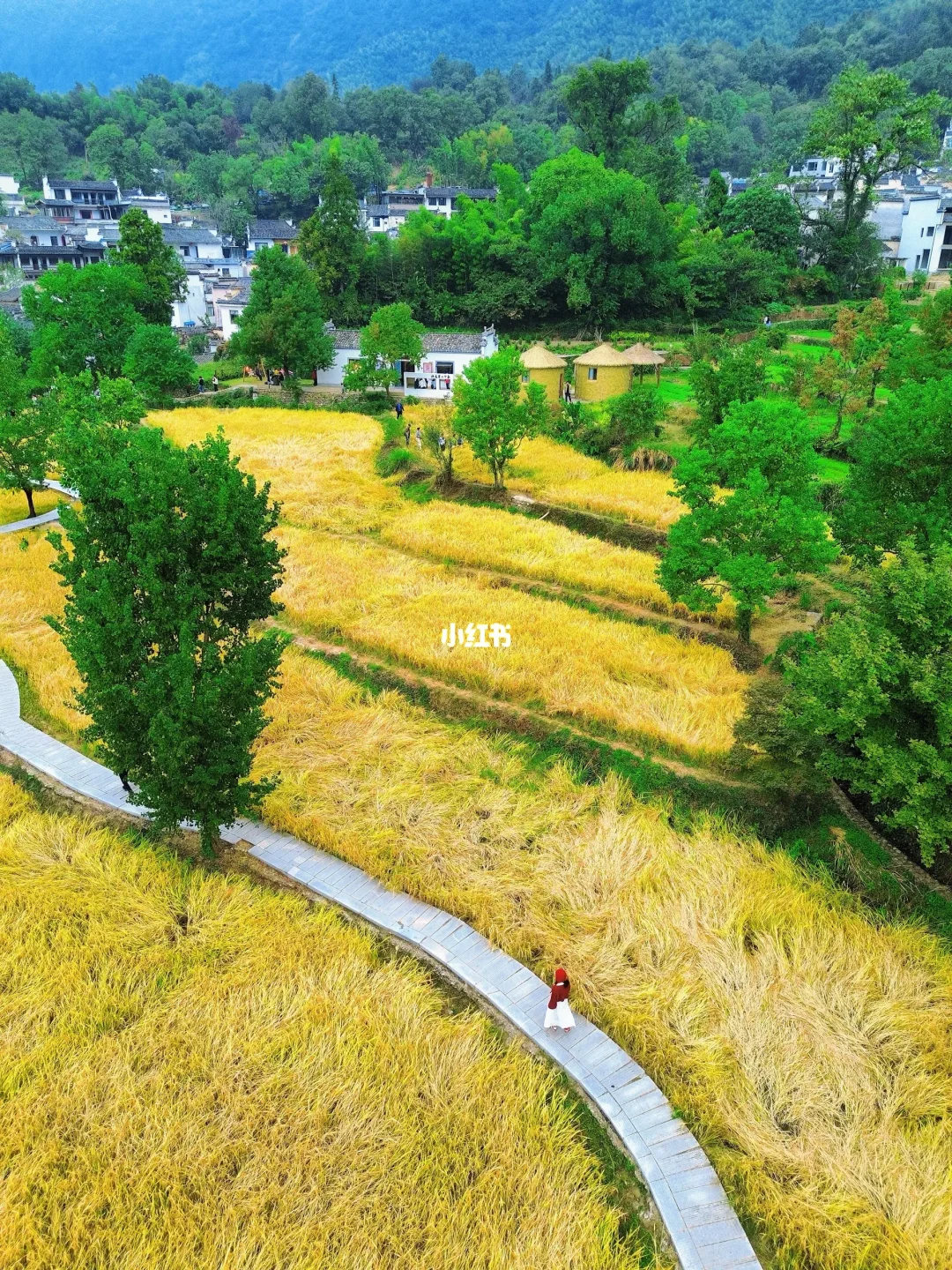 跟着杨紫《家业》游徽州，秋景也太绝了吧‼️