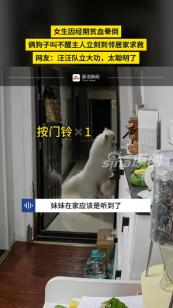 5月2日报道，四川，一女子经期贫血，因为起猛了直接晕倒，家里的两只狗狗意识到不对