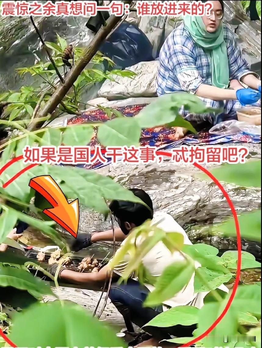 见过揣着明白装糊涂的，真没见过敢往森林防火红线上硬撞的！几个印度人在西安秦岭金