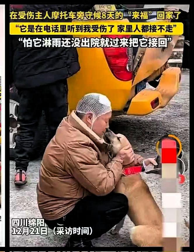 都说科学的尽头是玄学，这句话的含金量还在上升！四川绵阳就发生了这样一件连科学都解