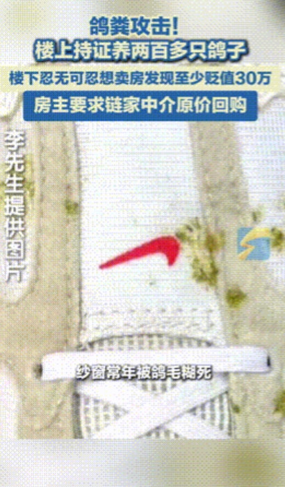 “倒霉到家了！”北京，男子花235万买房，结果楼上养200只鸽子，鸟粪鸟毛闹得男