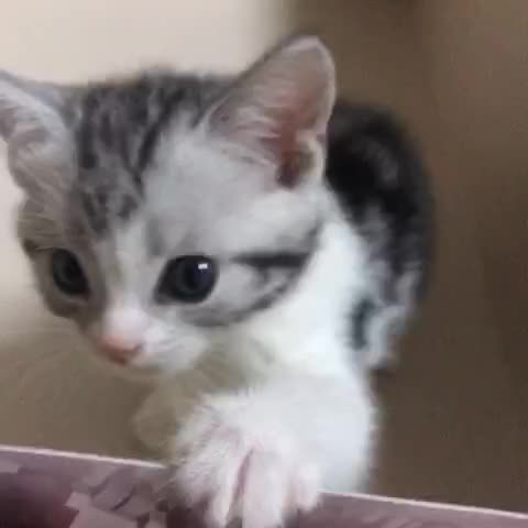9033504440873155404.jpg?id=0