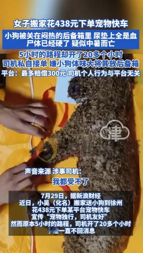 “防不胜防！”近日，江苏徐州，一女子搬家花438元下单宠物快车，结果，小狗被关在