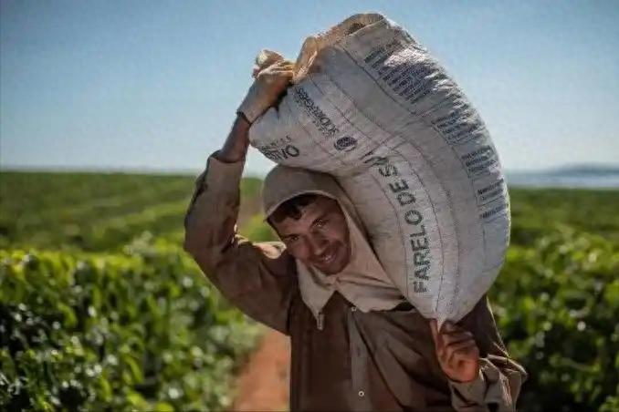 中国退回30万吨阿根廷大豆！ 最近有艘装着30万吨大豆的货轮，说是从阿根廷来