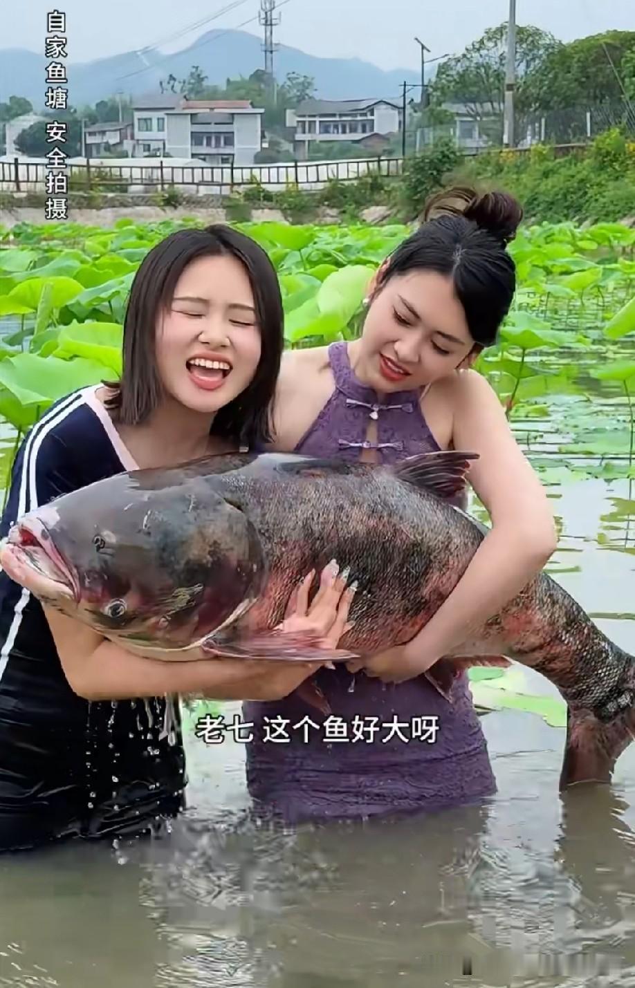 鱼越大是不是越难吃啊？