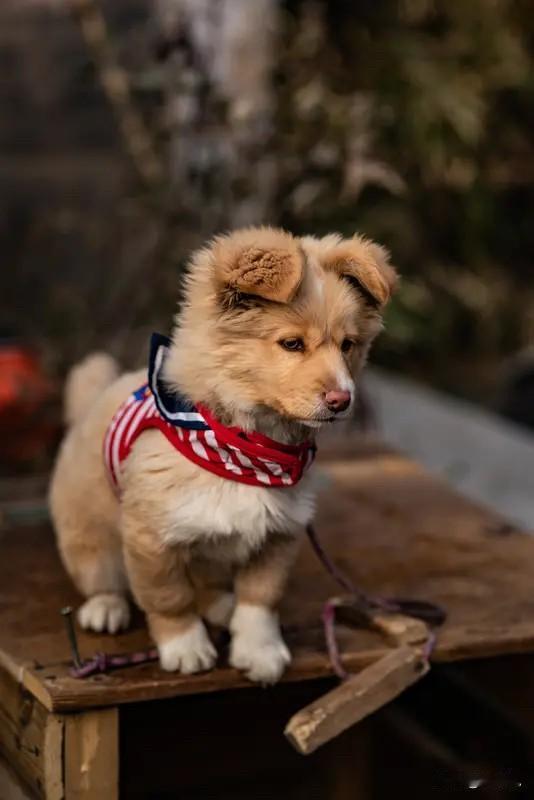 一个很厉害的本事：和谁相处，都大大方方。​秘诀就一条：把自己当“主场”，别