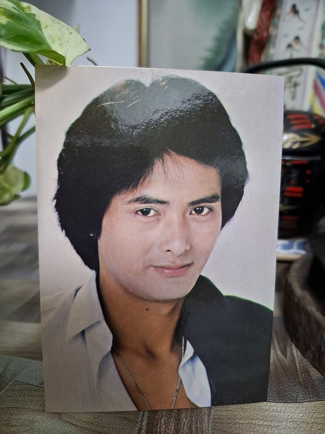 每日一善面相小知识眉压眼，鼻头短、低，下庭有点收缩（对比上庭），晚运差了点。周