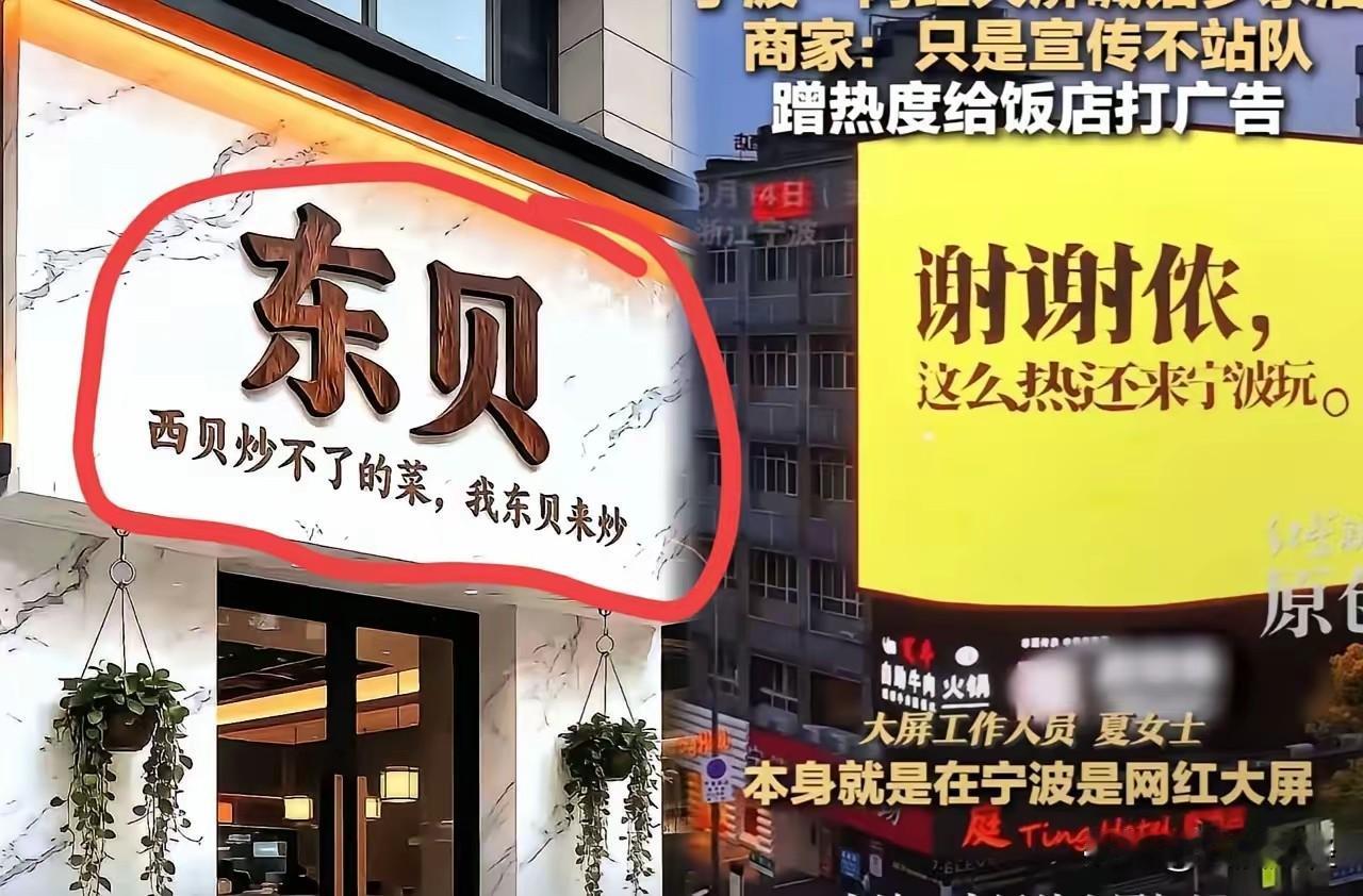 流量之下人才涌动啊。“西贝炒不了的菜，我东贝来炒”这波流量蹭的让人不得不服啊。