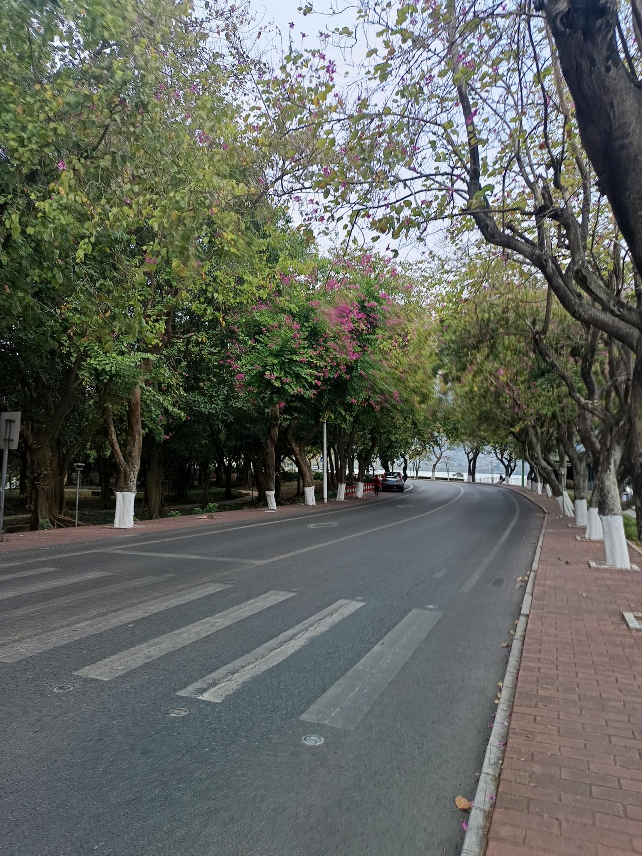 有一件事我不知道怎么说才好过年期间在肇庆发现了一件很很严重的问题你