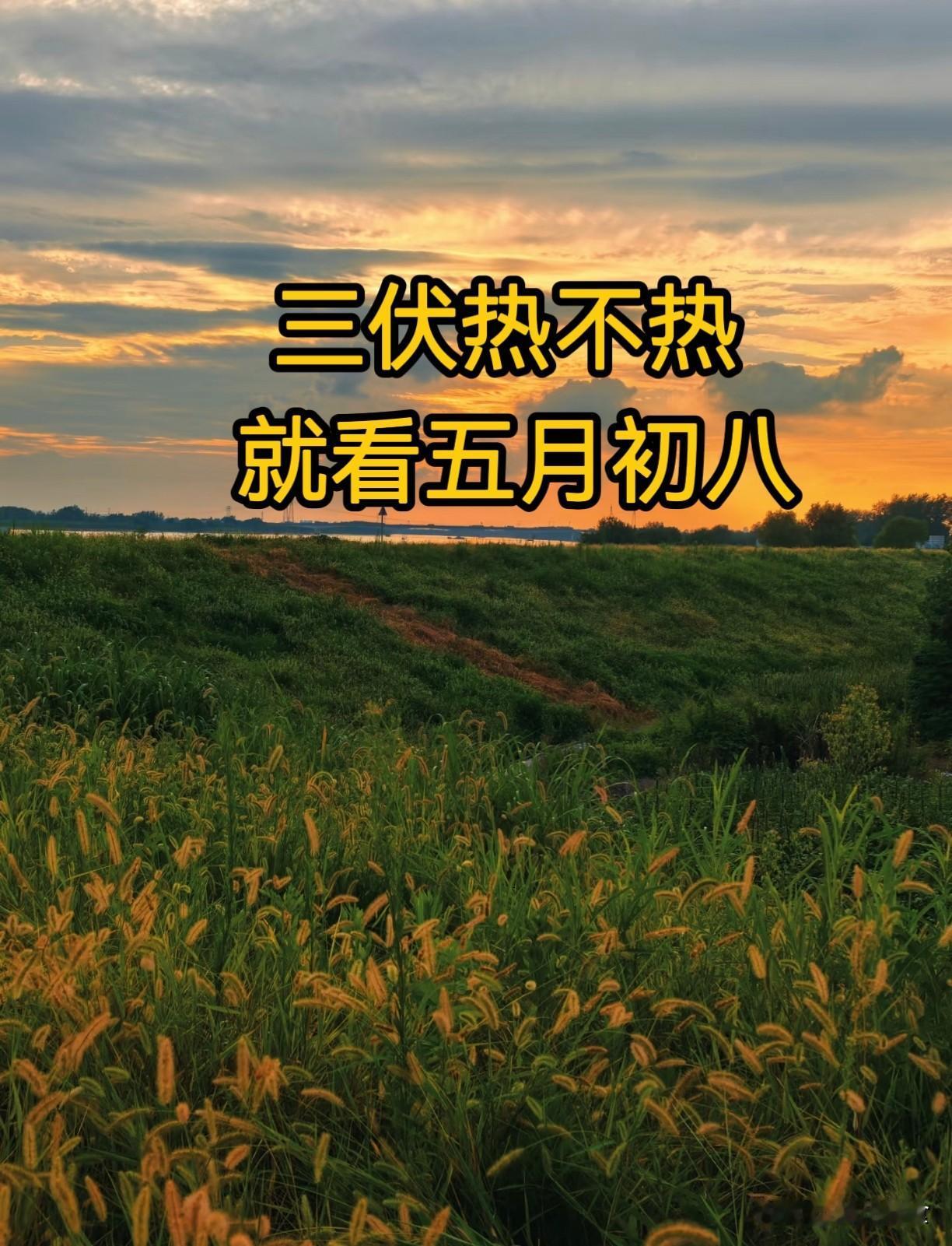 “三伏热不热，就看五月初八”，今日五月初八，今年三伏天很热吗？民间流传“三伏热