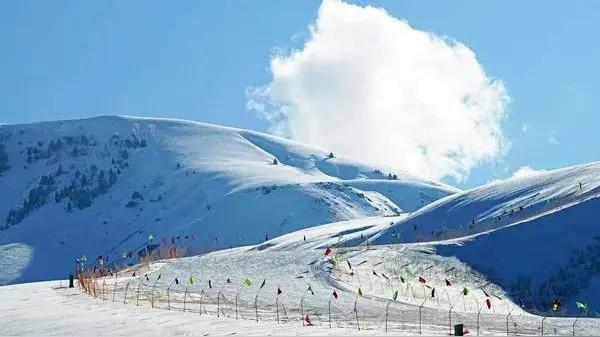 那拉提度假式滑雪休闲6日游（适合企.事业）团建。全网独家推发布。1月2月活动