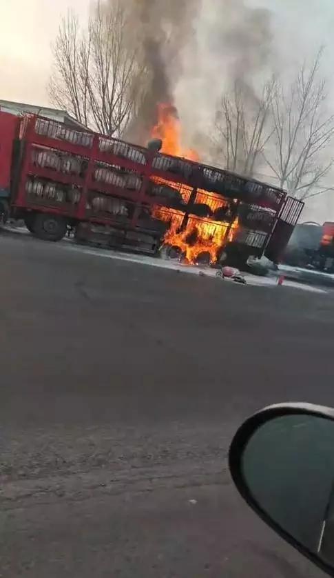 1月23号早上7点40分，河南平顶山宝丰县231省道旁，一辆拉满生猪的大货车突发