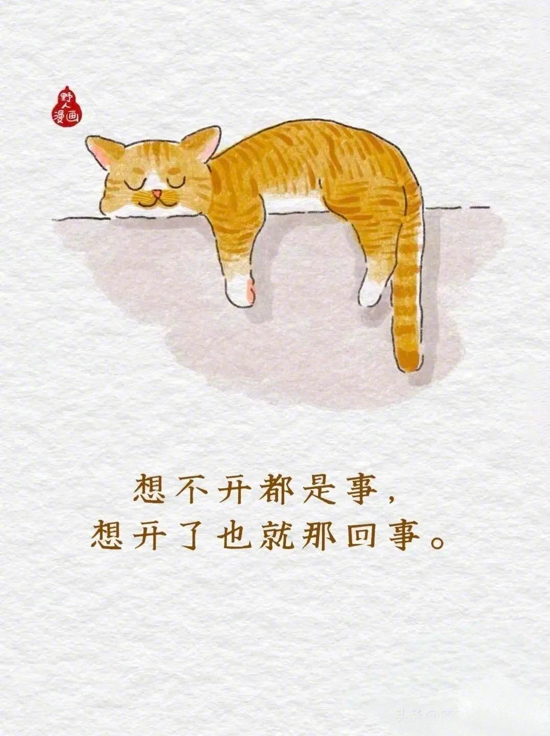 笑完又破防！当代成年人嘴替漫画✨这组漫画简直是成年人真实写照。✅吾日三省