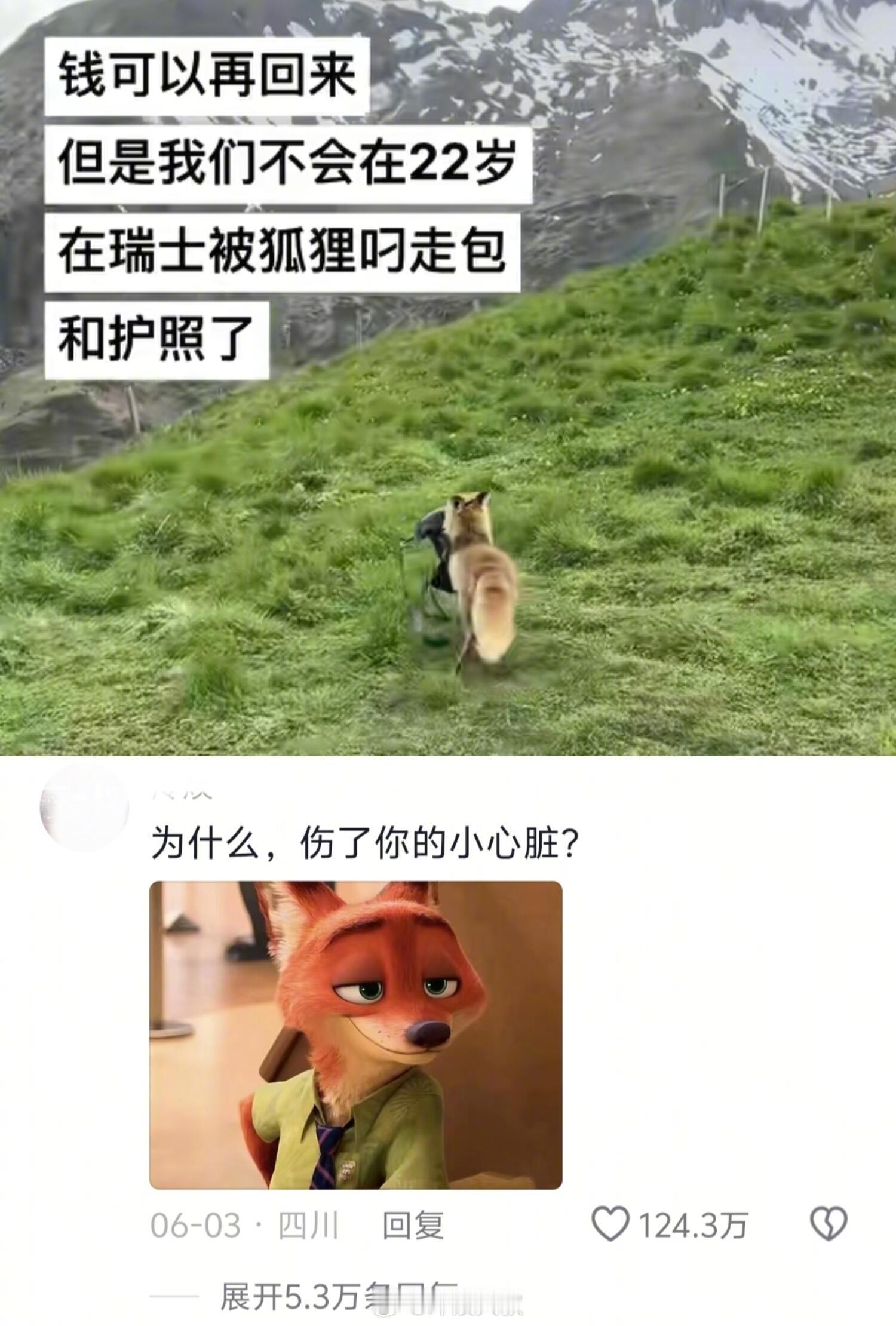《你看到捣蛋鬼狐狸了吗》​​​