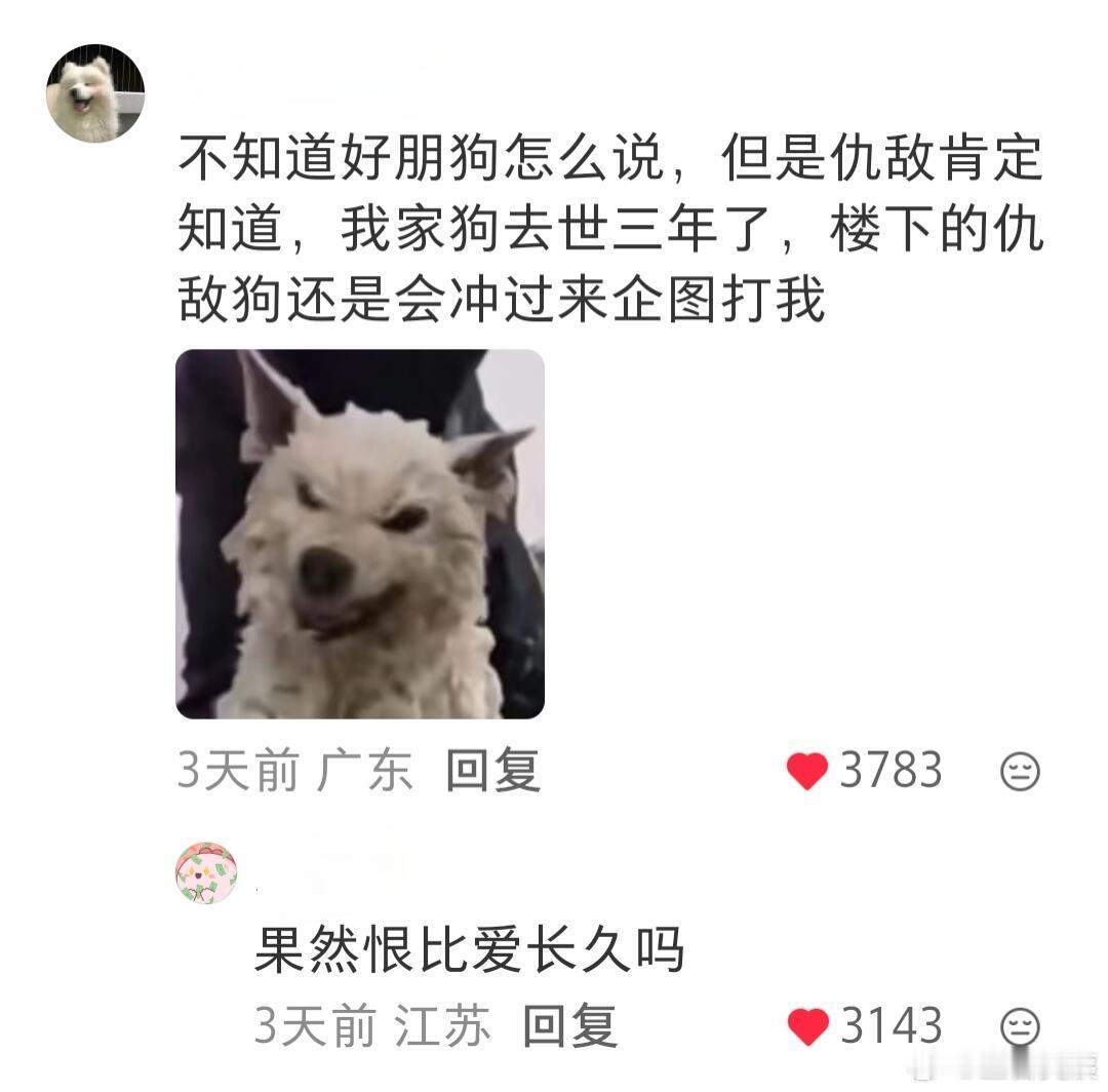 看得人哈特软软🥰原来小狗真的会把人介绍给它的朋友！！！