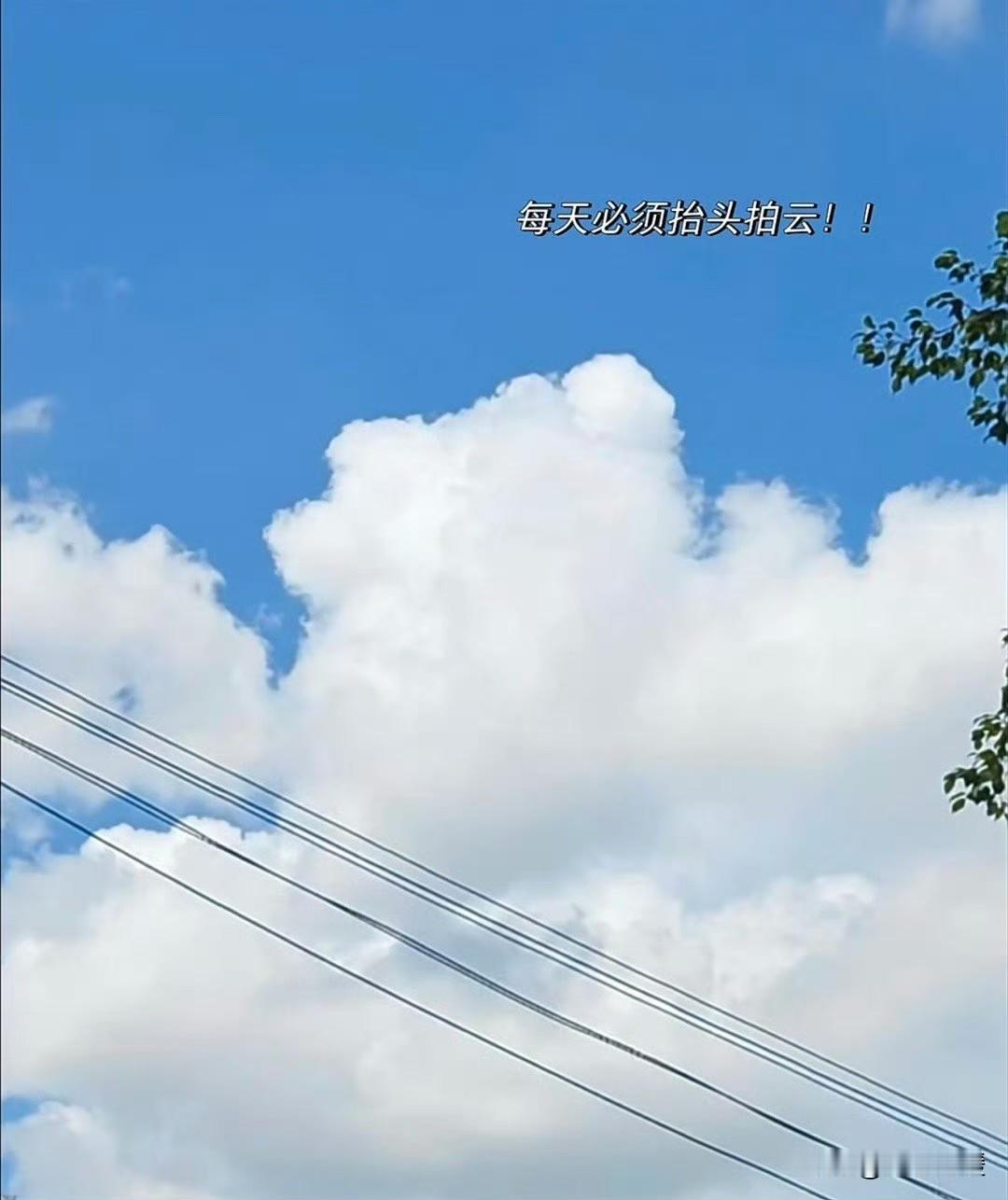 🌛🐸心怀温柔向阳而生，愿日子清净岁岁安然。​🐸慢