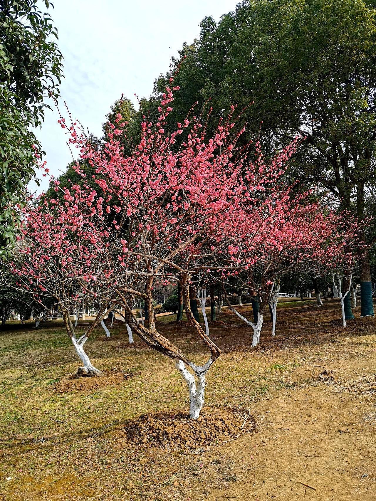 今年可算让我治住婆婆的嘴了！公婆总仗着有退休金放话：“我有儿有女有钱，不靠你！