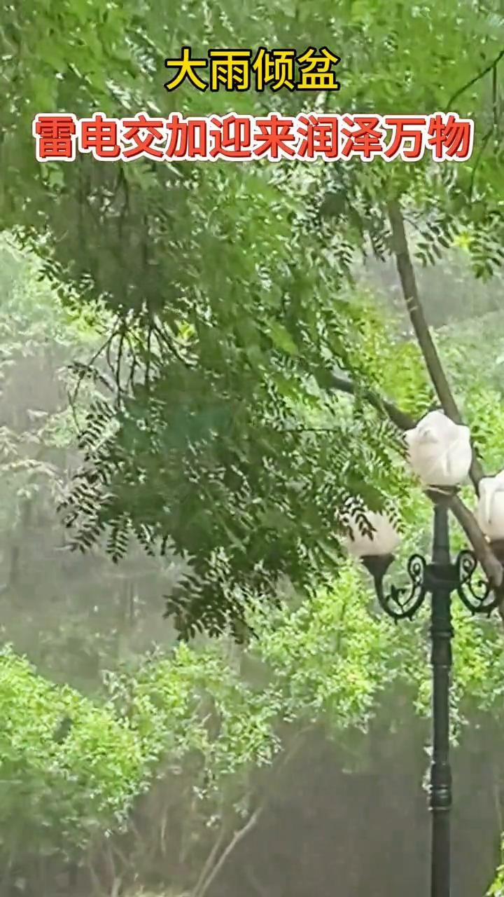 大雨倾盆，雷电交加迎来润泽万物。
