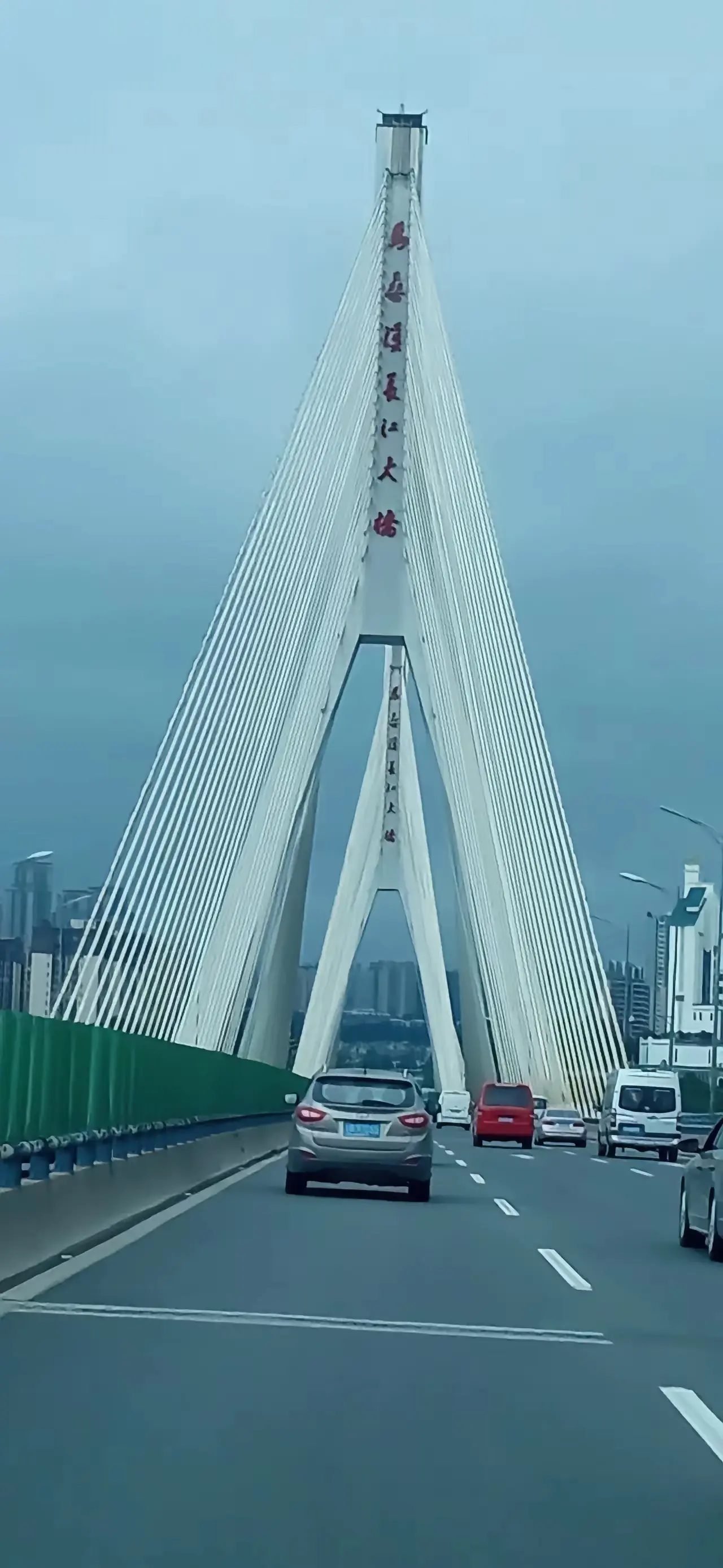 请教高人，这是什么长江大桥？太难辨认了。