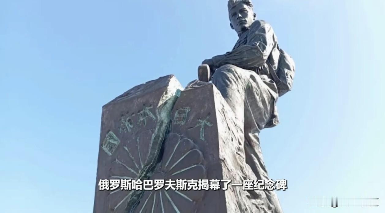 菊花残，满地伤，还是大毛有力量菊花在中国是为逝者祭奠亡灵用的，无论是白菊花还是