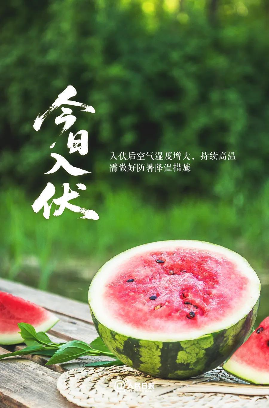 今天入伏了，正是一年身体除湿除寒的好时候。入伏期间，每天早上9点前晒背部半小时，