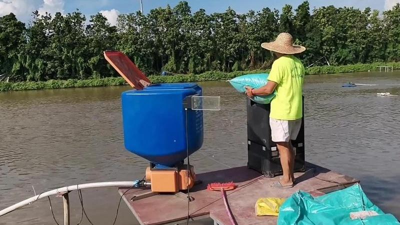 新手入门, 草鱼饲料投喂量咋精准控制, 精准控制减浪费