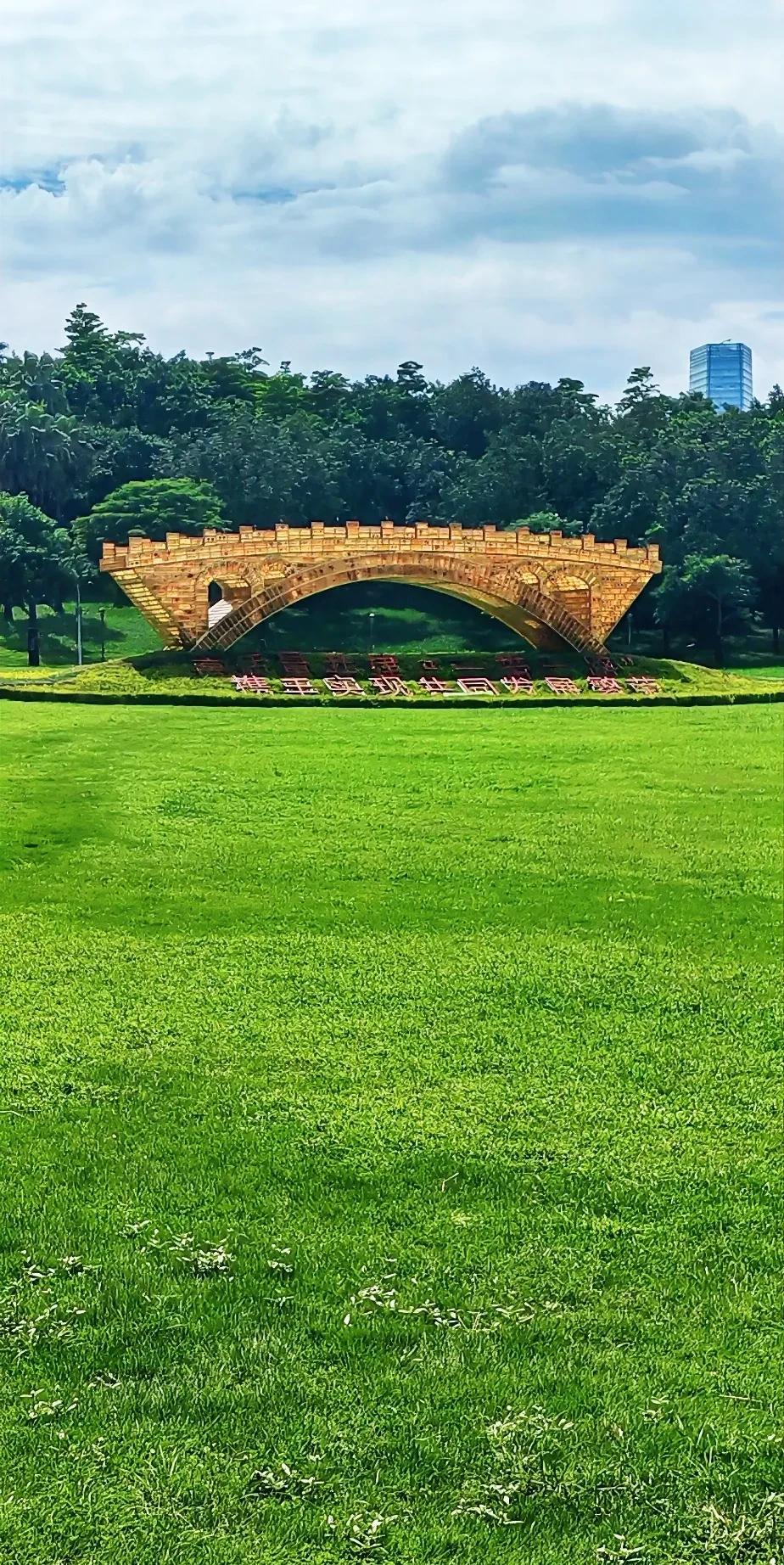 一只胖乎乎圆滚滚小短腿浑身有点脏的棕黑色小奶狗在一条土路见到小哥后，表现出焦急求