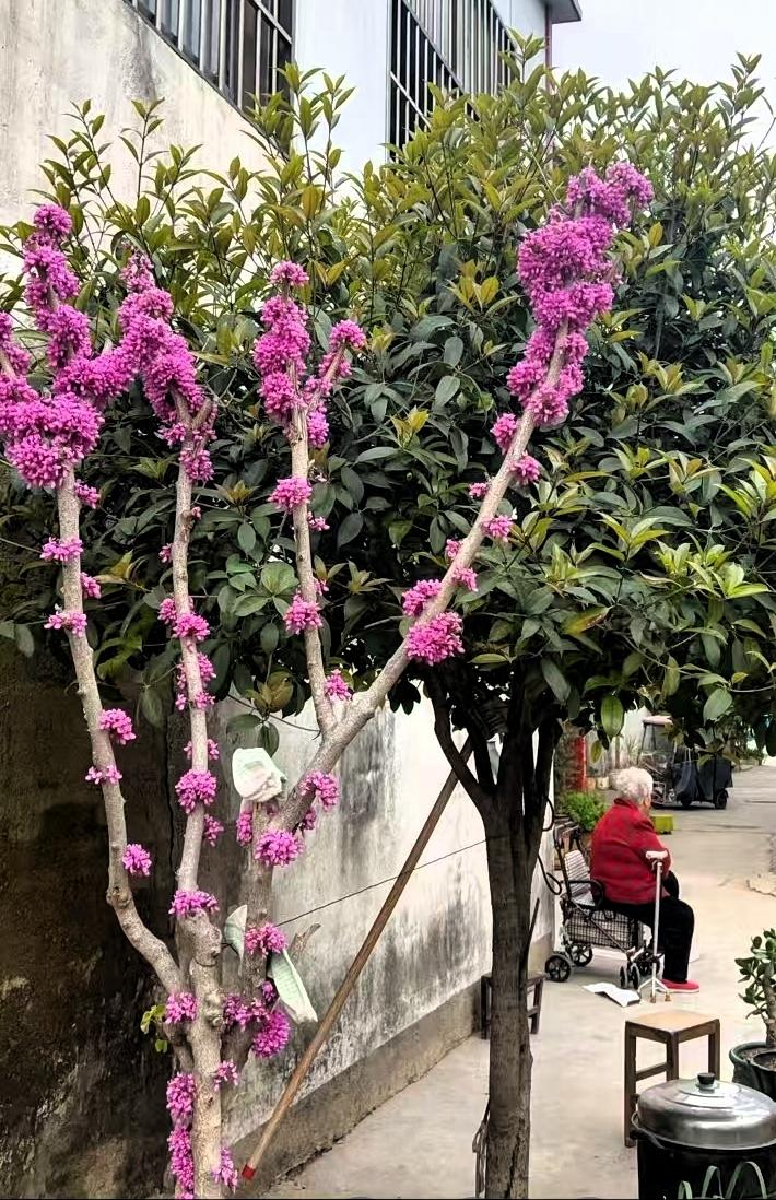 闹矛盾以后，我对儿媳妇说……！我想了一天一夜，我这辈子真的活得可失败，我干