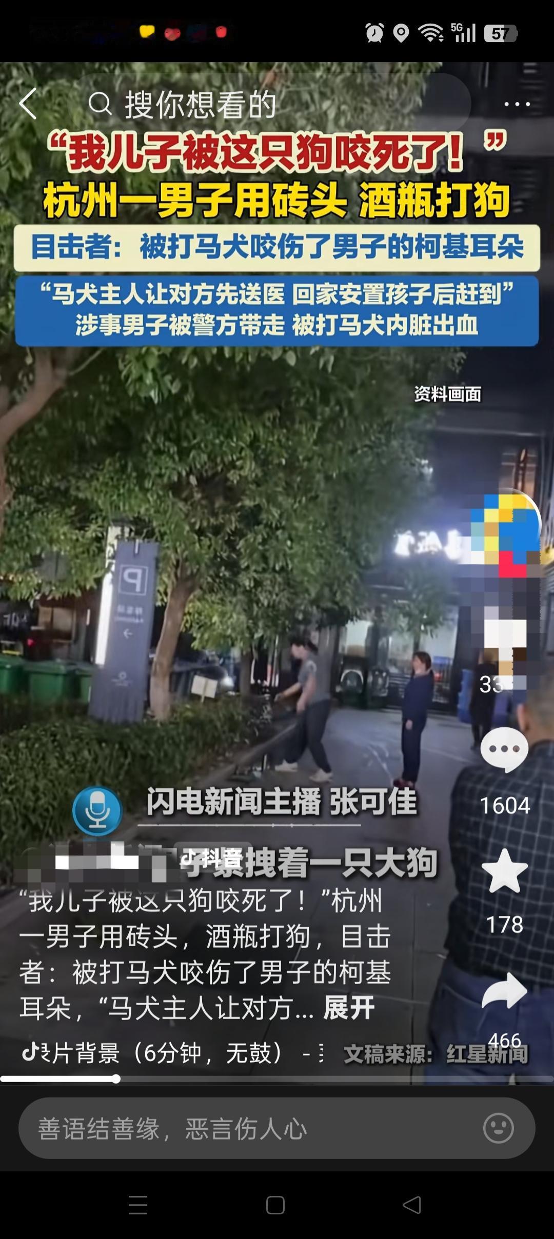 如果我是杭州被打的马犬女主人，我会马上做这3件事：1、绝不和解，给多少钱都不行