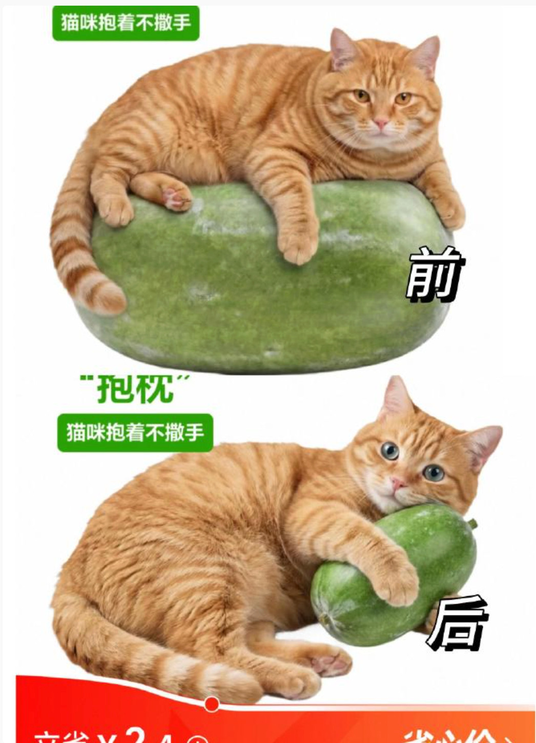 盒马因受害咪连夜改冬瓜图今天的快乐是盒马给的，图片修改完之后，喵咪的眼神都清澈