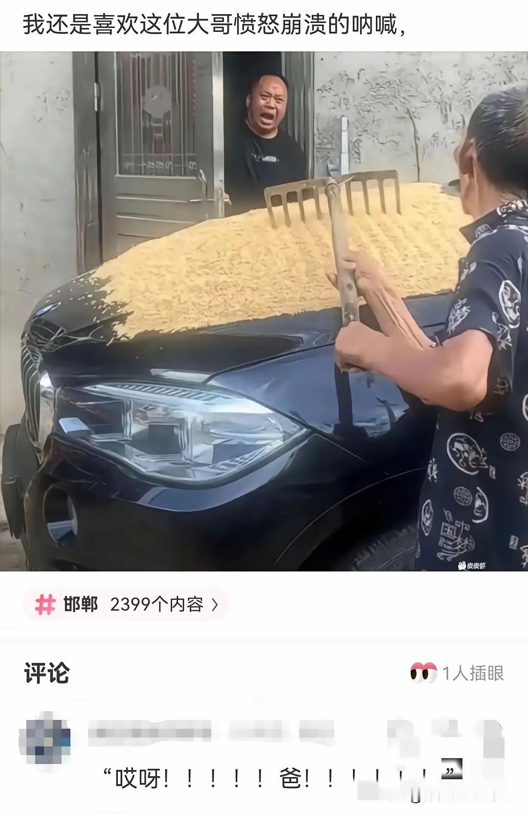也可能今年是河南那边的雨水太多了，很多玉米，或者豆子，花生都烂在地里了，粮食也非