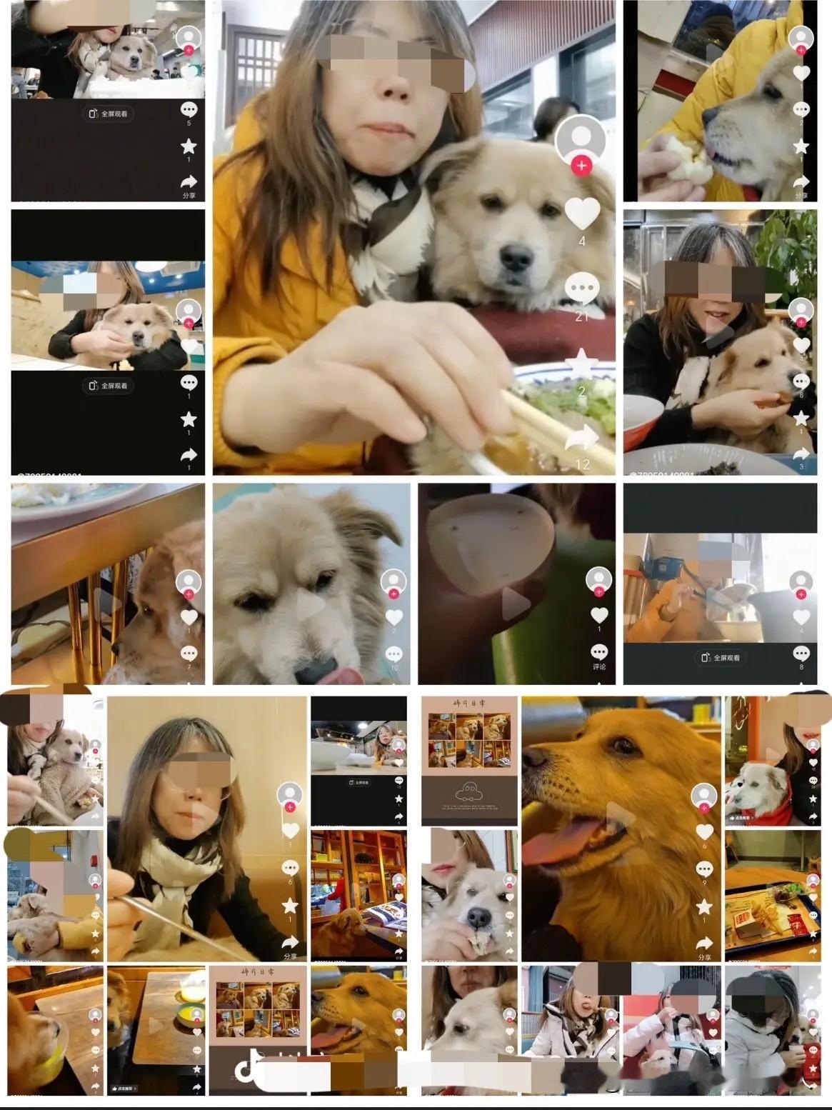 比南门涮肉砸盘子更添堵的事儿来了，北京餐饮圈都跟着瑟瑟发抖。那个带狗进餐厅用