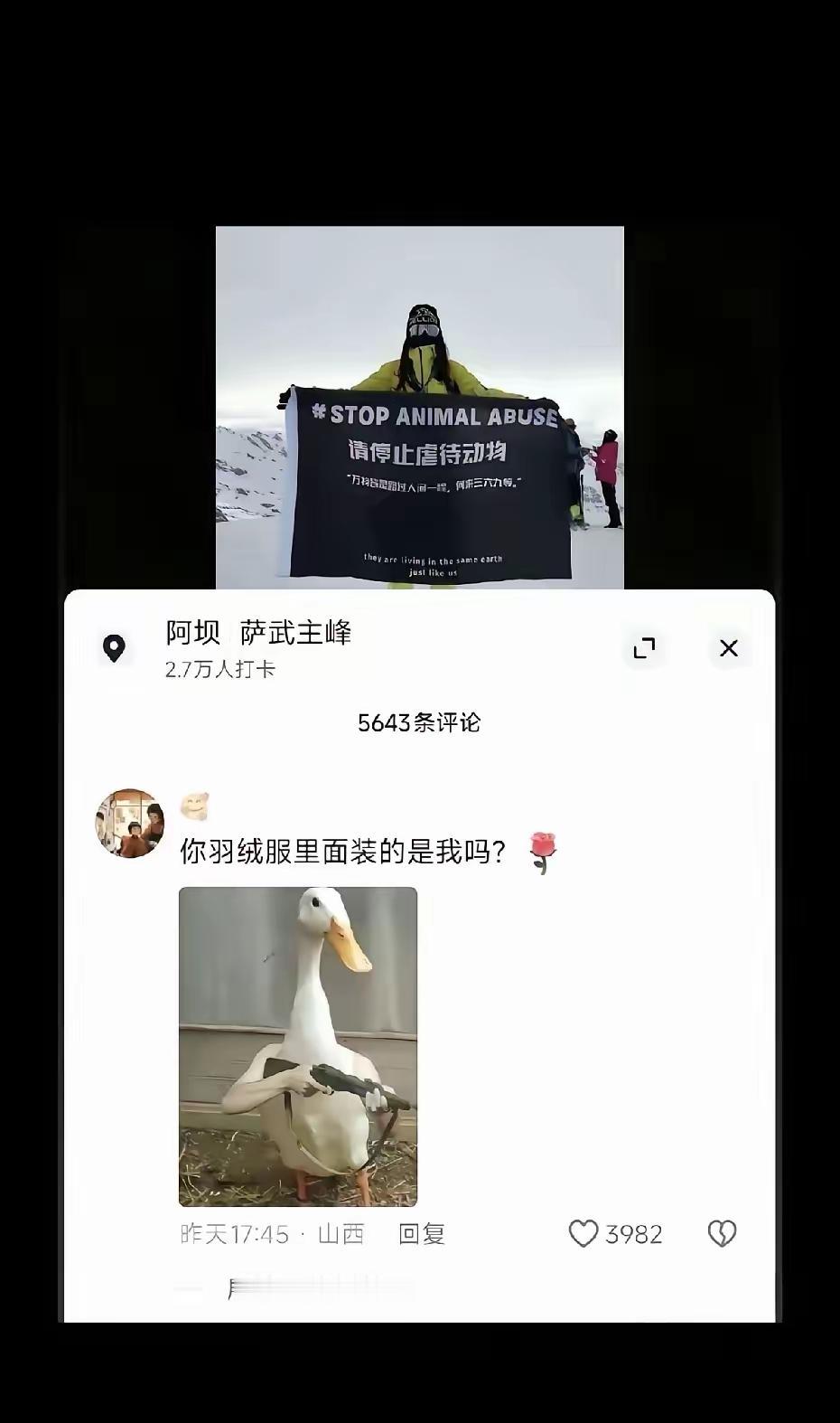 没错，鸭子有话要说[笑着哭]