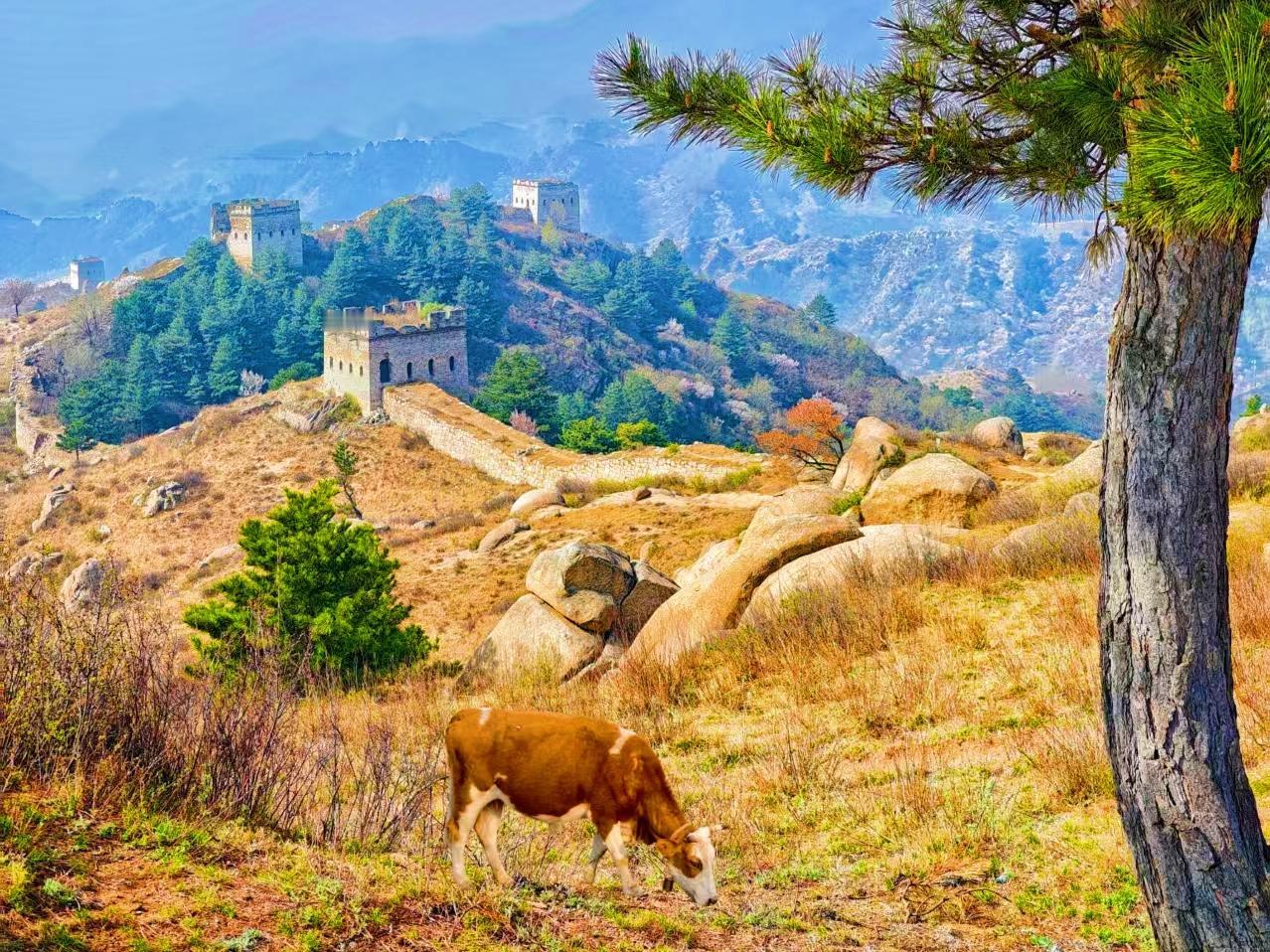 公园美丽景随拍