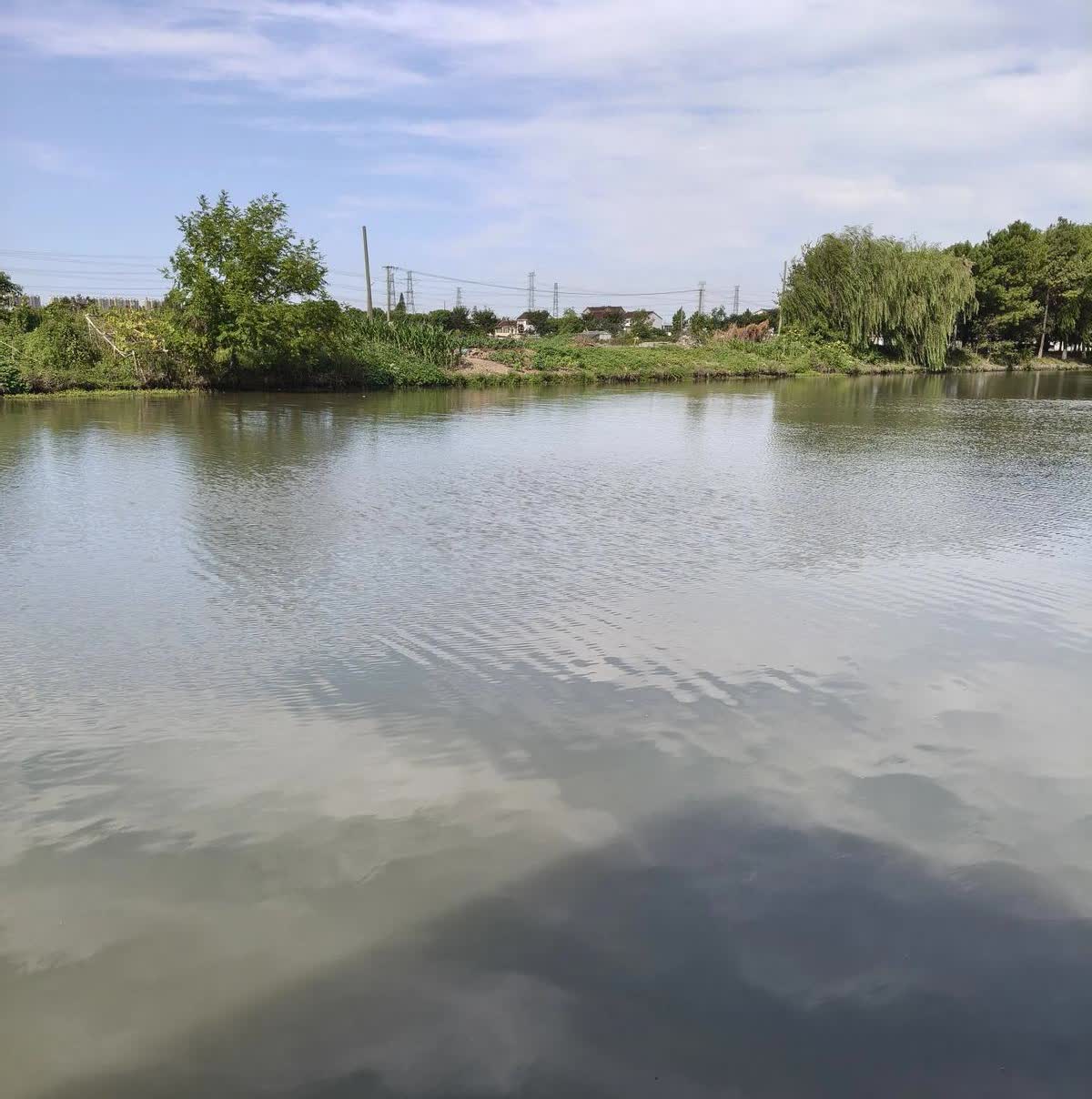 40℃高温，我老公非要去钓鱼不要命了。他说我不懂，直到把一堆数据甩我脸上