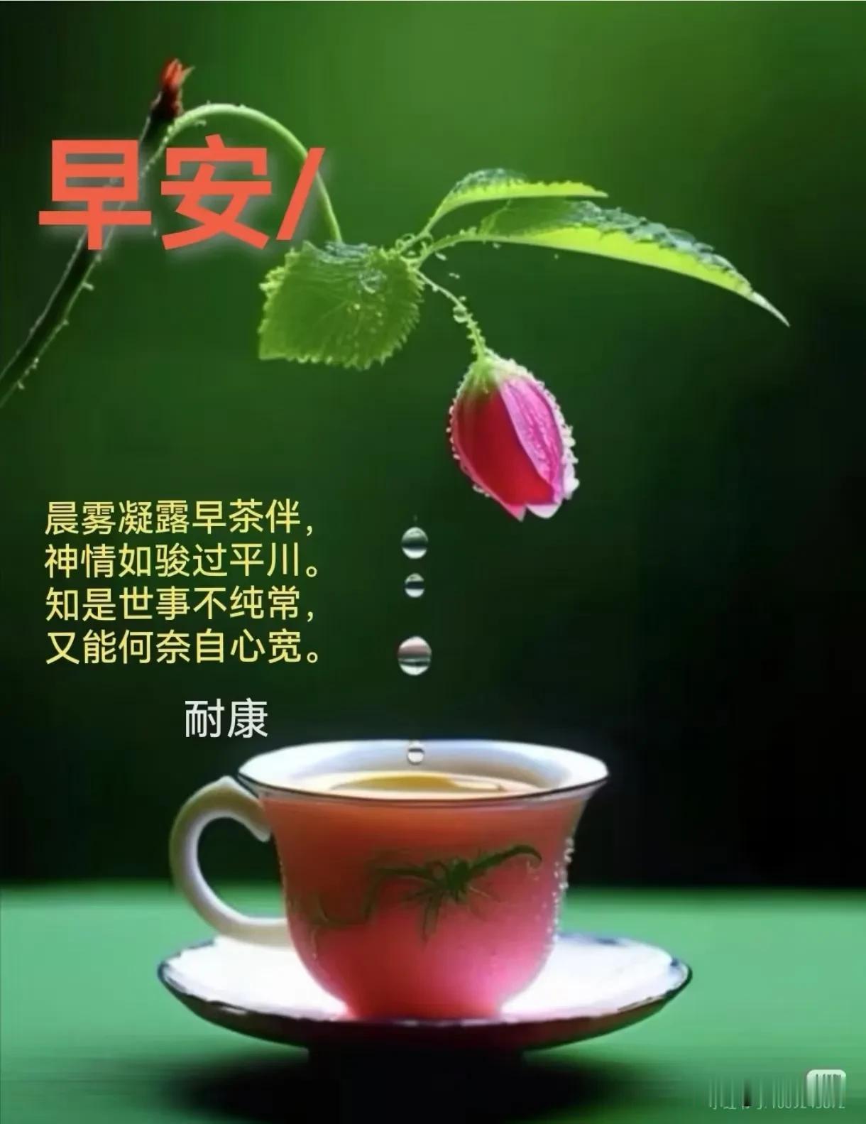《临江仙·缓行悟生》莫向尘途催步履，浮生且缓前行。闲观云卷落花轻，听雨