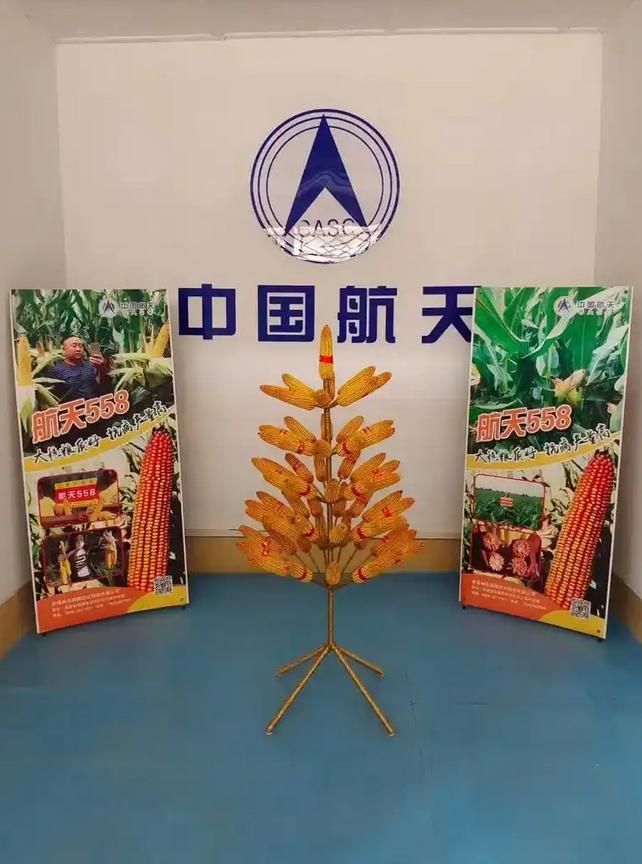 神舟二十三号载人飞行发射演练5月20日在酒泉卫星发射中心圆满完成。很多人关注神舟