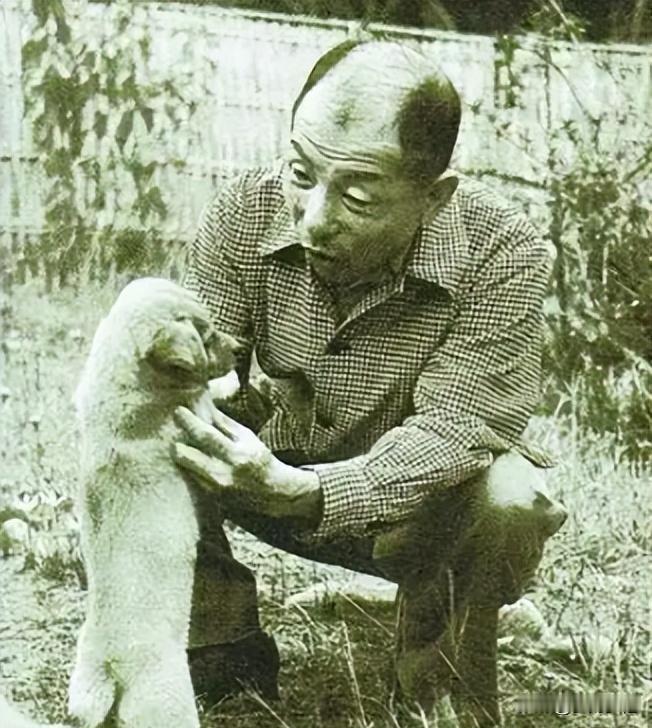 每天33支烟，被软禁55年还活101岁？张学良的长寿秘诀，赵一荻晚年才说透