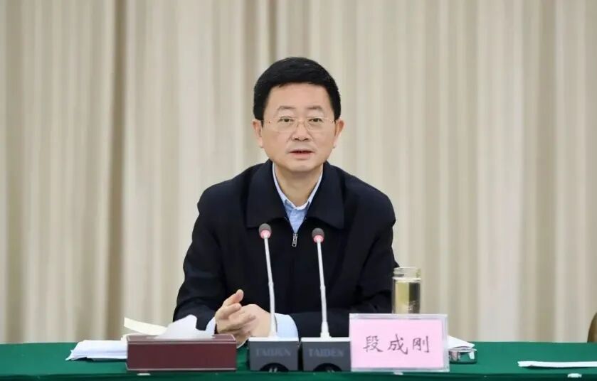 中共中央批准, 段成刚被“双开”