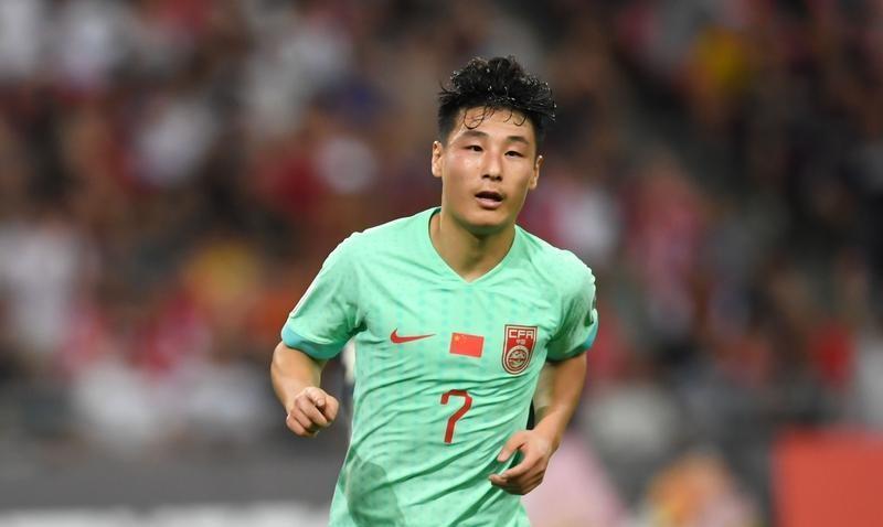 2030年世界杯预选赛，武磊老了，张玉宁不堪大用，中国国家队到时靠谁来攻城拔寨。