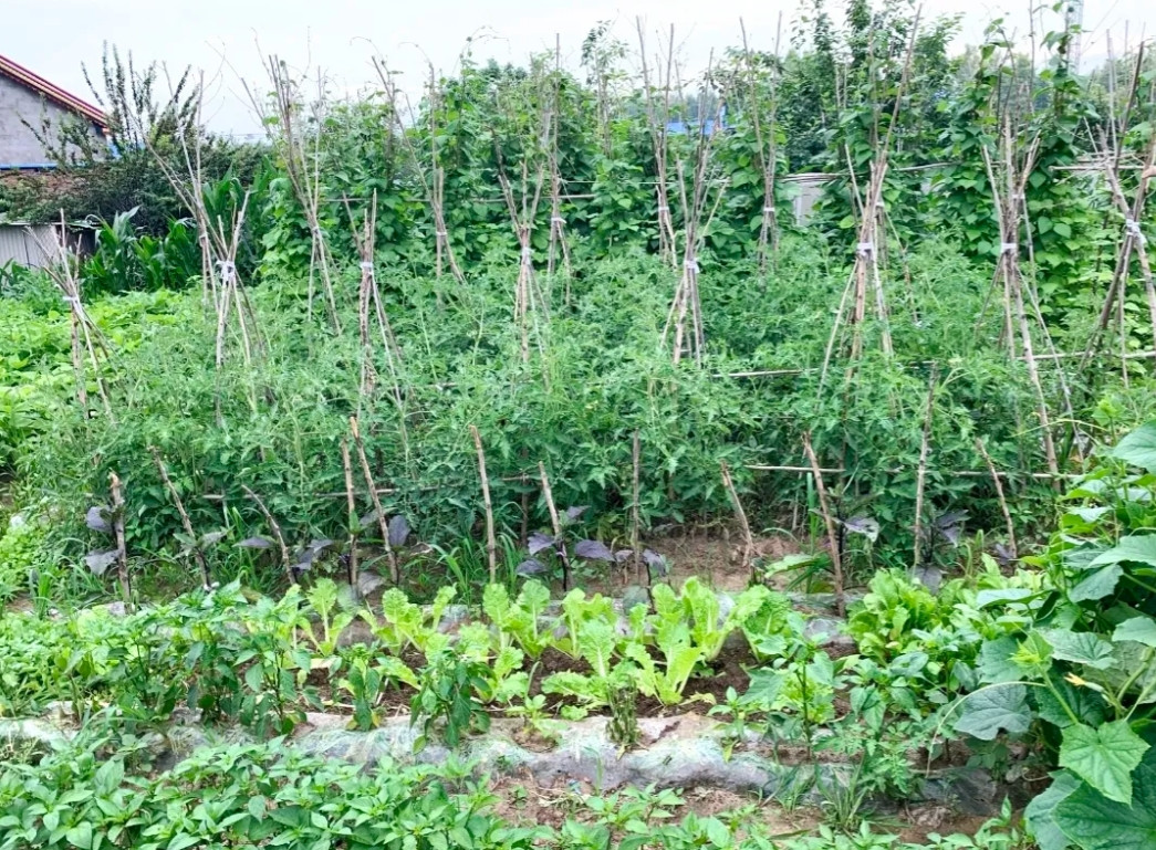 真是气死人呀，中午特意请了半天假去机场接我小姨两口子，这两口子早些年都移民美国了